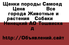 Щенки породы Самоед › Цена ­ 20 000 - Все города Животные и растения » Собаки   . Ненецкий АО,Тошвиска д.